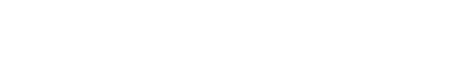 The Stanan Group logo